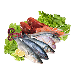 Seafood