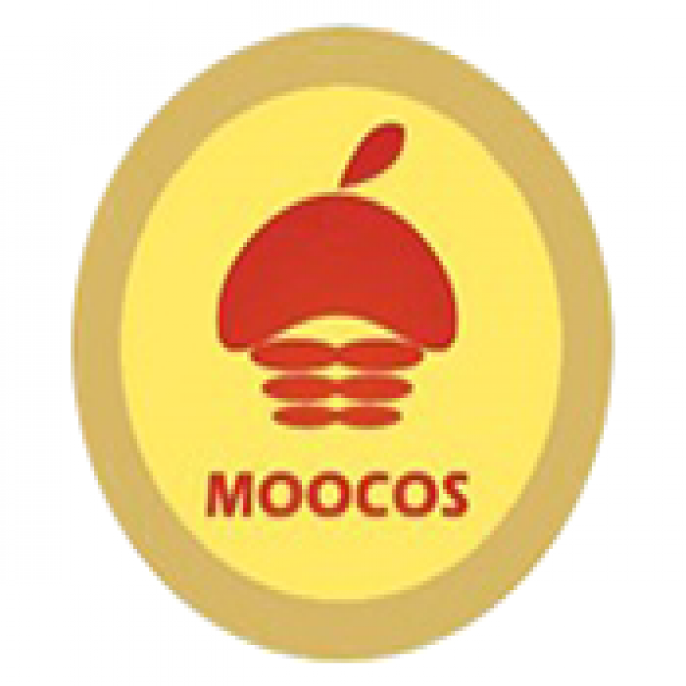 MOOCOS VIET NAM COMPANY LIMITED