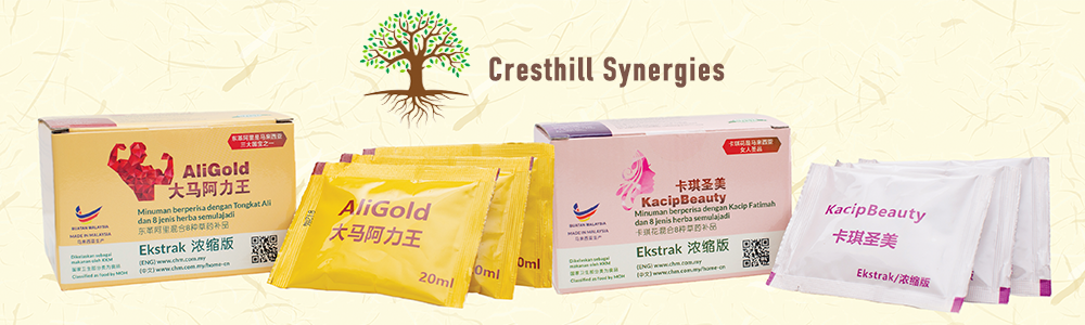 Company Banner