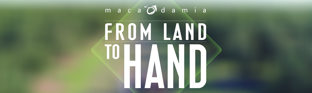 Company Banner