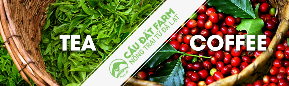 Company Banner