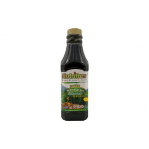 Honey Wheatgrass Juice Concentrate