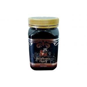 Acacia Mangium Honey - 500g