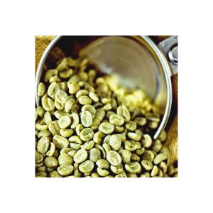 Green Bean Arabica Vietnam