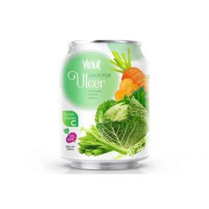 250ml Can 100% Vegetable Juice – Juice for Ulcers