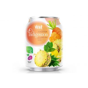 250ml Can 100% Vegetable Juice – Juice for Indigestion