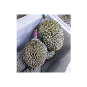 Premium frozen whole musang king（猫山王）