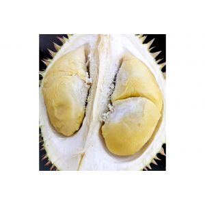 Malaysia fresh whole XO