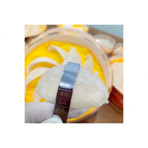 原盏密盏 5A / Original Bird Nest 5A