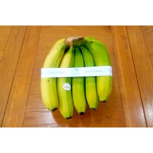 LABAKING BANANA