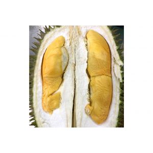Malaysia fresh whole D101（红肉榴莲）
