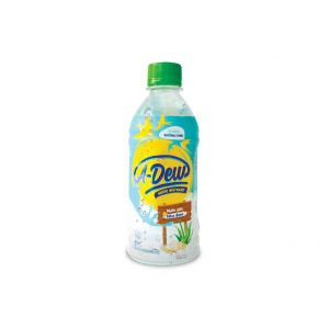 Bird's Nest Drink With Aloe Vera Pulp