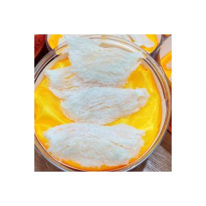 大燕条 / Bird Nest Strip (Big)