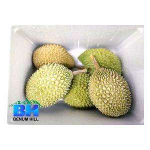 Frozen Whole Durian - Musang King (10kg)