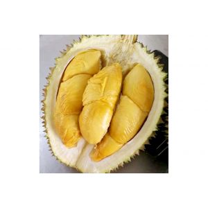 Malaysia fresh whole D13（南红虾）