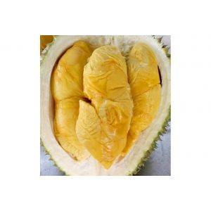 Malaysia fresh whole D175（北红虾）