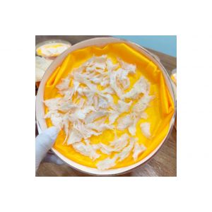 燕角 / Bird Nest horn