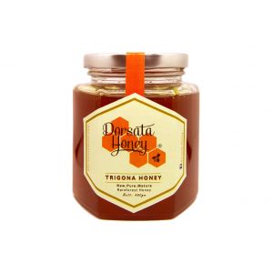 Trigona Honey - 480g